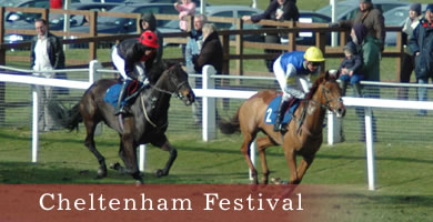 chetenham festival accommodation